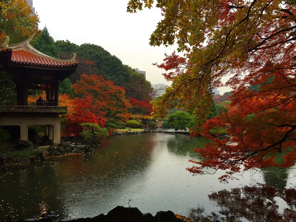 Daun musim luruh merah dan kuning mengelilingi Kyu-Goryo-Tei serta kolam Taman Jepun Shinjuku Gyoen