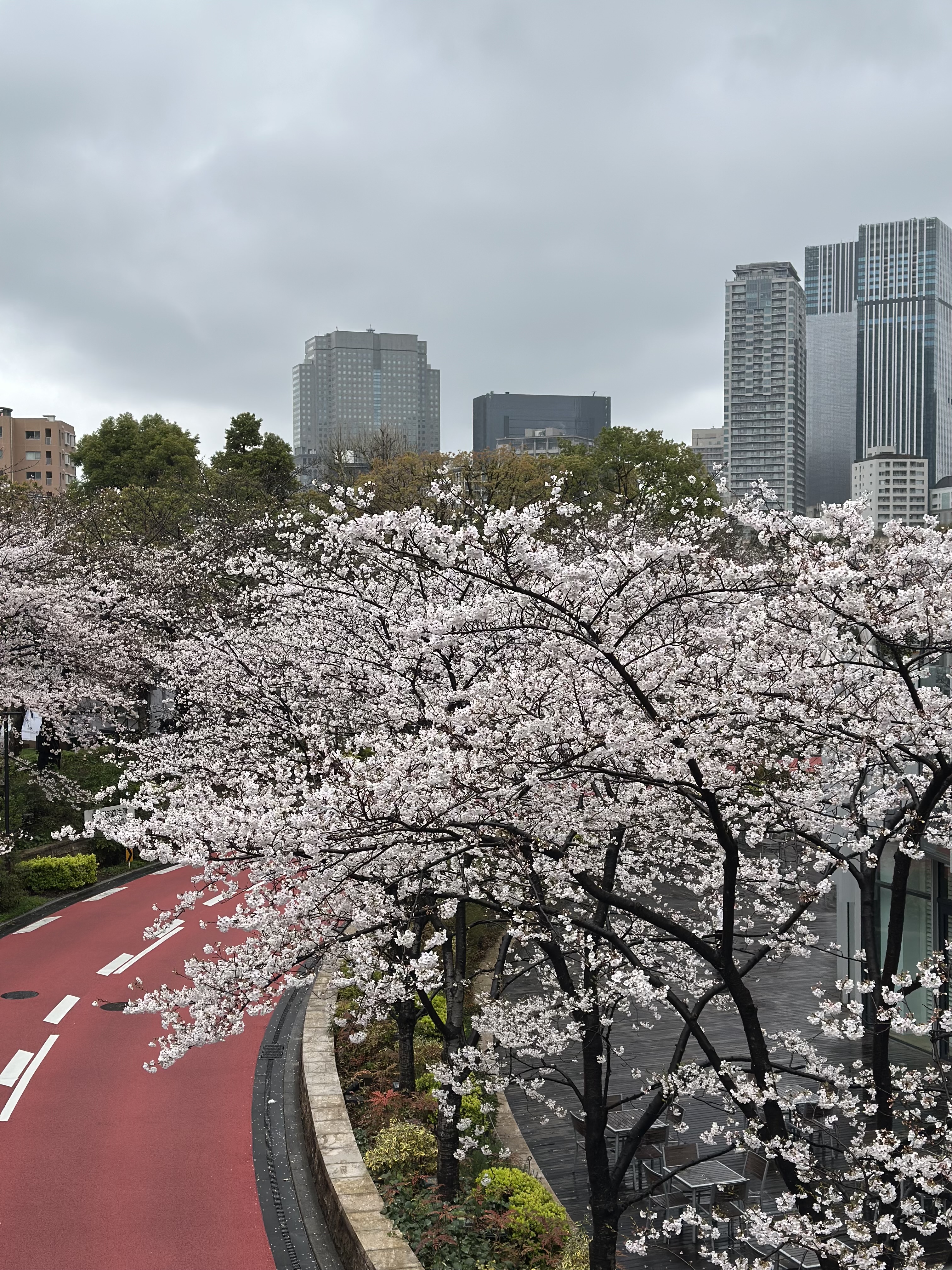 The road from Tokyo Midtown toward the National Art Center
